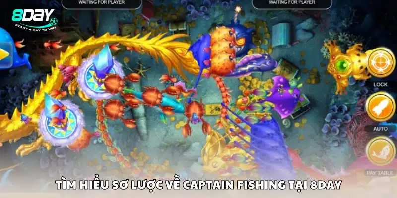 Khám phá game Captain Fishing trên 8Day