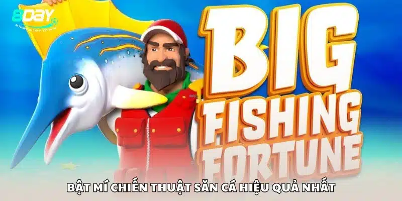 Bật mí chiến thuật săn cá hiệu quả nhất