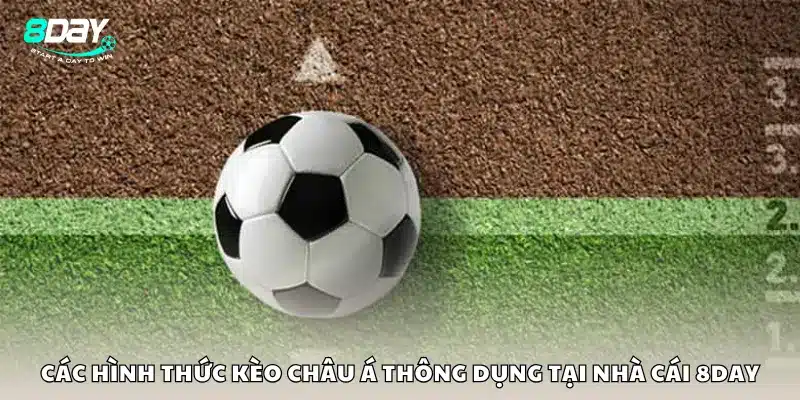 Các hình thức kèo châu Á thông dụng tại nhà cái 8Day
