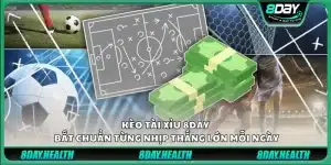 Kèo tài xỉu 8Day – Bắt chuẩn từng nhịp thắng lớn mỗi ngày